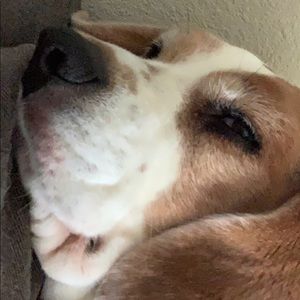 Meet your Posher, Nick